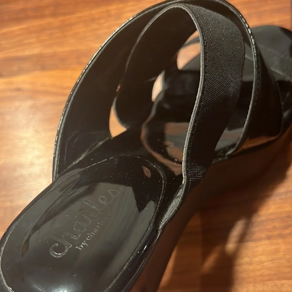 CHARLES BY CHARLES DAVID
Fefe Platform Wedge Sandals - Size 9 - Picture 4 of 4